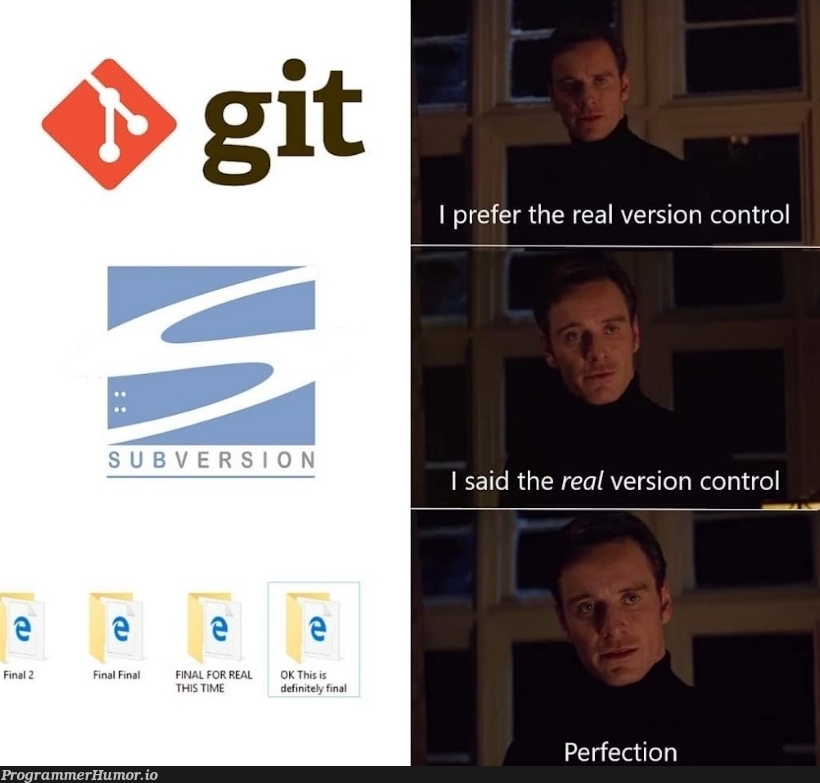 Perfection | version-memes, version control-memes | ProgrammerHumor.io