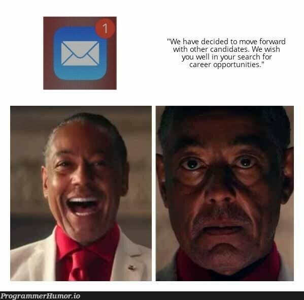 Searching for dev jobs be like... | search-memes | ProgrammerHumor.io