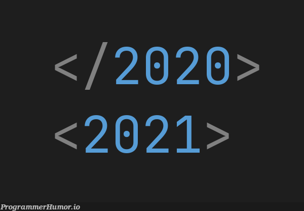 Time to close the 2020 tag. Happy New Year everybody! | ProgrammerHumor.io