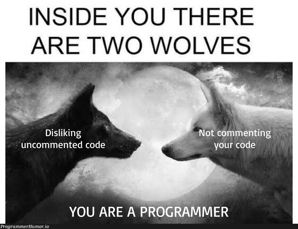 We are ALL hypocrites | programmer-memes, code-memes, program-memes, ide-memes, comment-memes | ProgrammerHumor.io