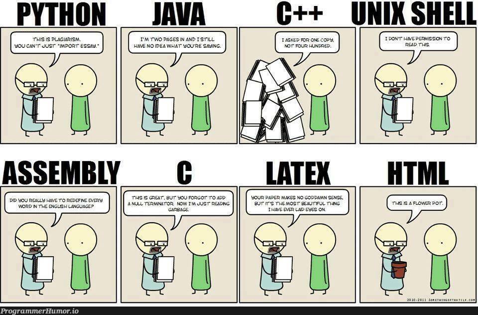 All languages have an intrinsic problem. All. | python-memes, c++-memes, language-memes | ProgrammerHumor.io