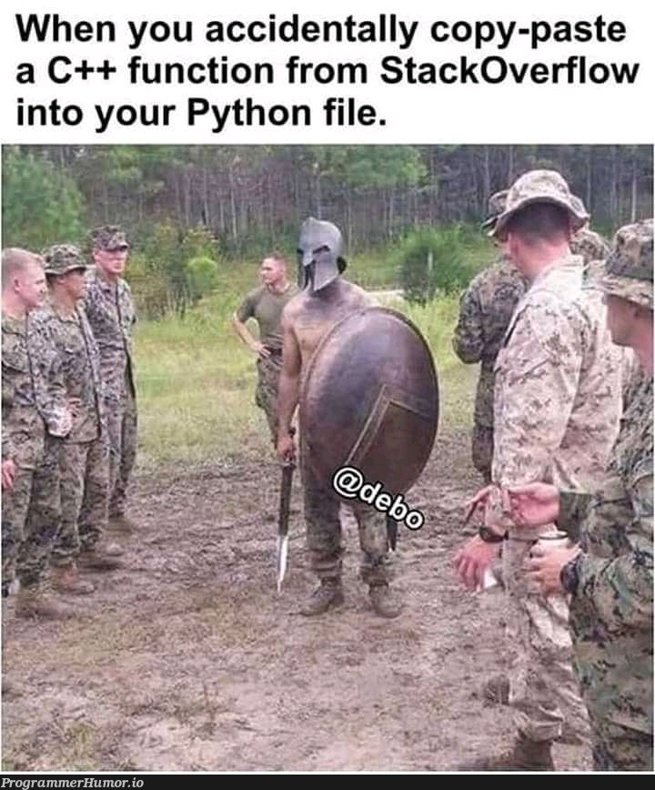 :D | python-memes, stackoverflow-memes, stack-memes, c++-memes, function-memes, overflow-memes, ide-memes | ProgrammerHumor.io