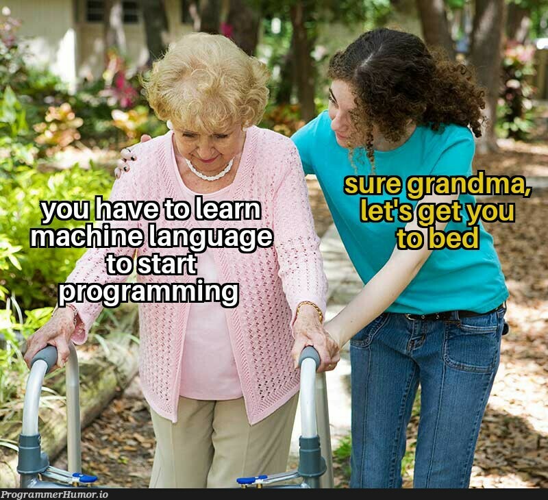 An interesting grandma | rest-memes, language-memes | ProgrammerHumor.io