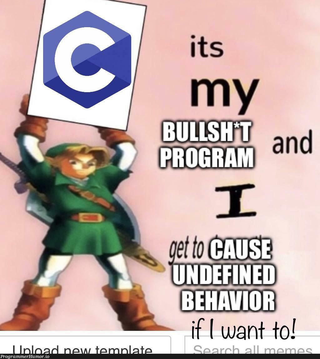 Let’s be honest, C makes it really easy. | c-memes, IT-memes | ProgrammerHumor.io