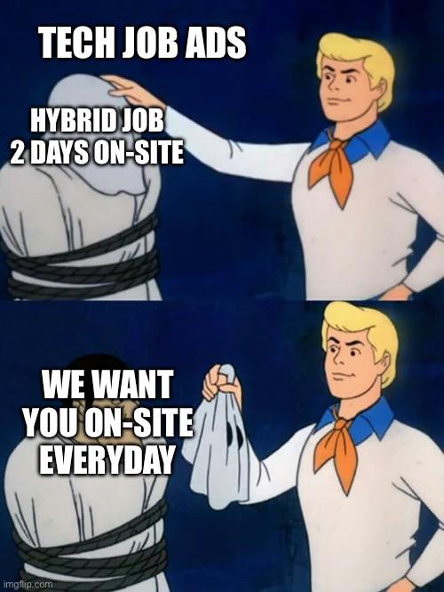 “No, we just added Hybrid to the ad, because no one was applying before we did so!” | vm-memes | ProgrammerHumor.io