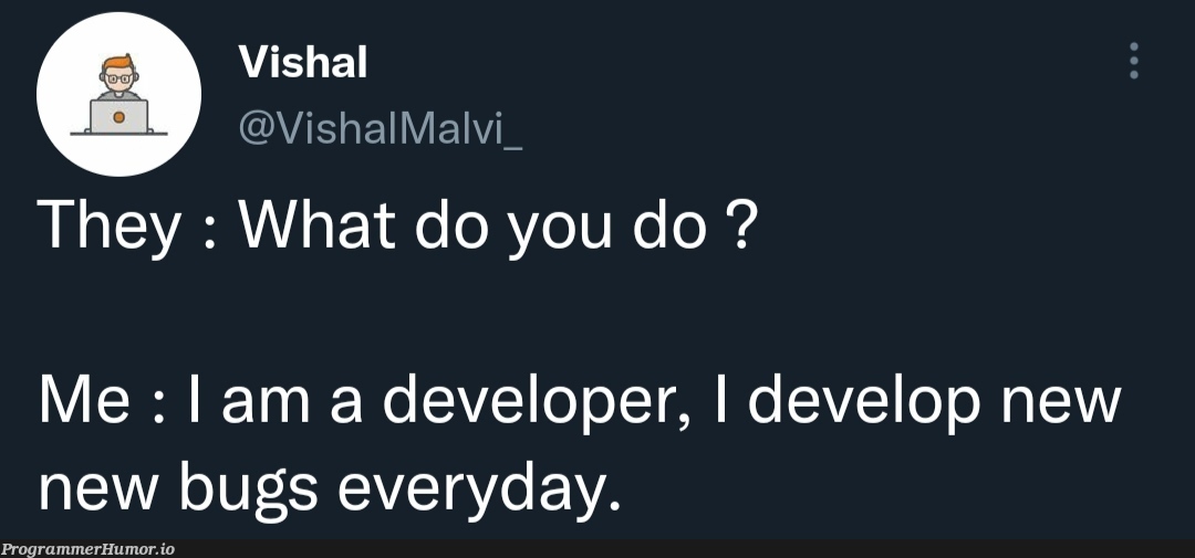 I am a developer | developer-memes, bugs-memes, bug-memes | ProgrammerHumor.io