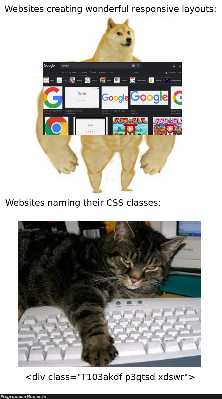 Random letters go brrr | css-memes, web-memes, website-memes, random-memes, class-memes, div-memes, cs-memes | ProgrammerHumor.io