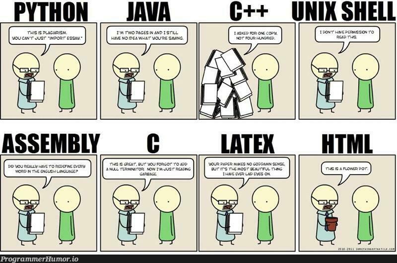 Programmers writing an essay. | programmer-memes, html-memes, program-memes, assembly-memes, ML-memes | ProgrammerHumor.io