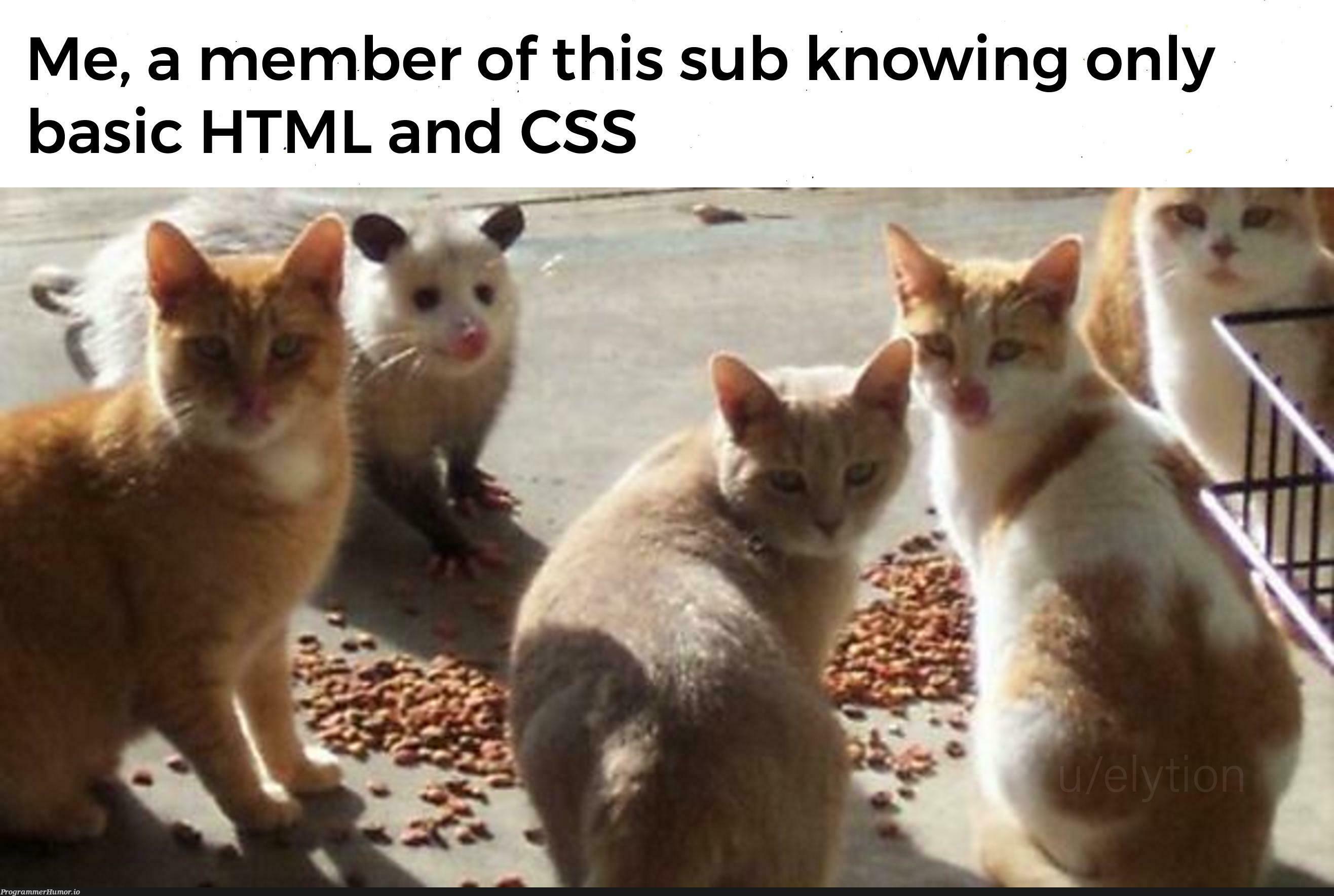 one of these things is not like the others | html-memes, css-memes, ML-memes, cs-memes | ProgrammerHumor.io