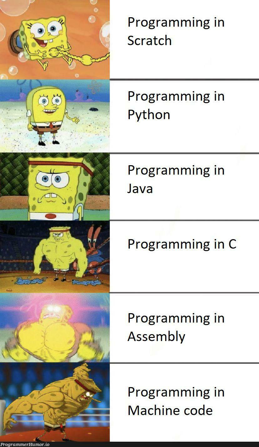 The language hierarchy in terms of difficulty | programming-memes, code-memes, java-memes, python-memes, program-memes, assembly-memes, machine-memes, c-memes, mac-memes, language-memes | ProgrammerHumor.io