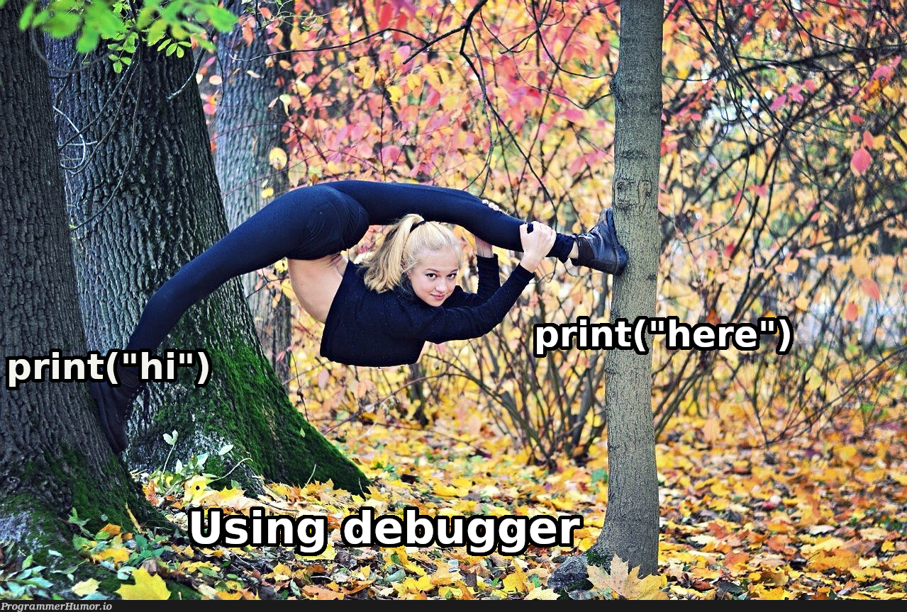 print("hello") | ProgrammerHumor.io