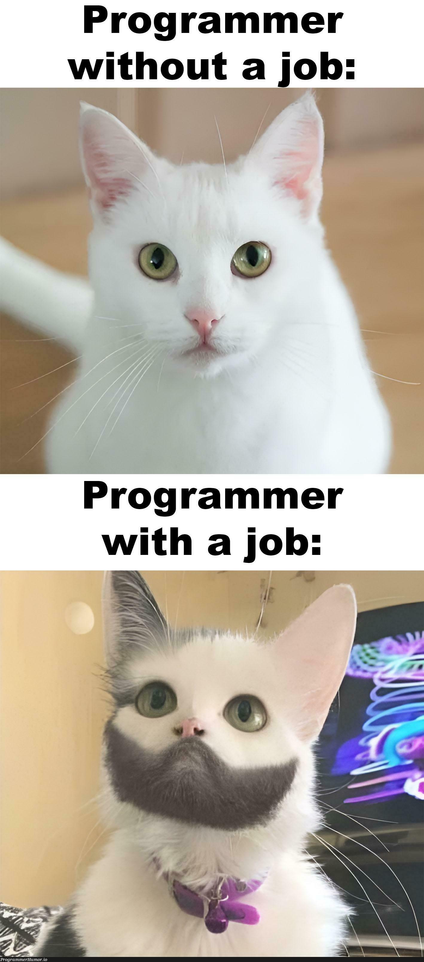 The Faces of a Programmer | programmer-memes, program-memes | ProgrammerHumor.io