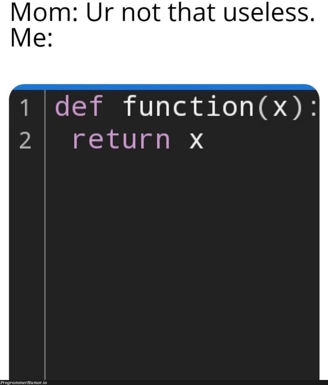 Me and my usefulness | function-memes | ProgrammerHumor.io