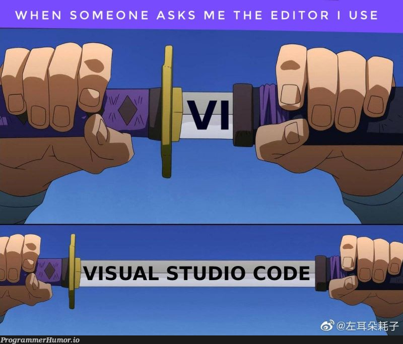 Vi-sual Studio Code | code-memes | ProgrammerHumor.io