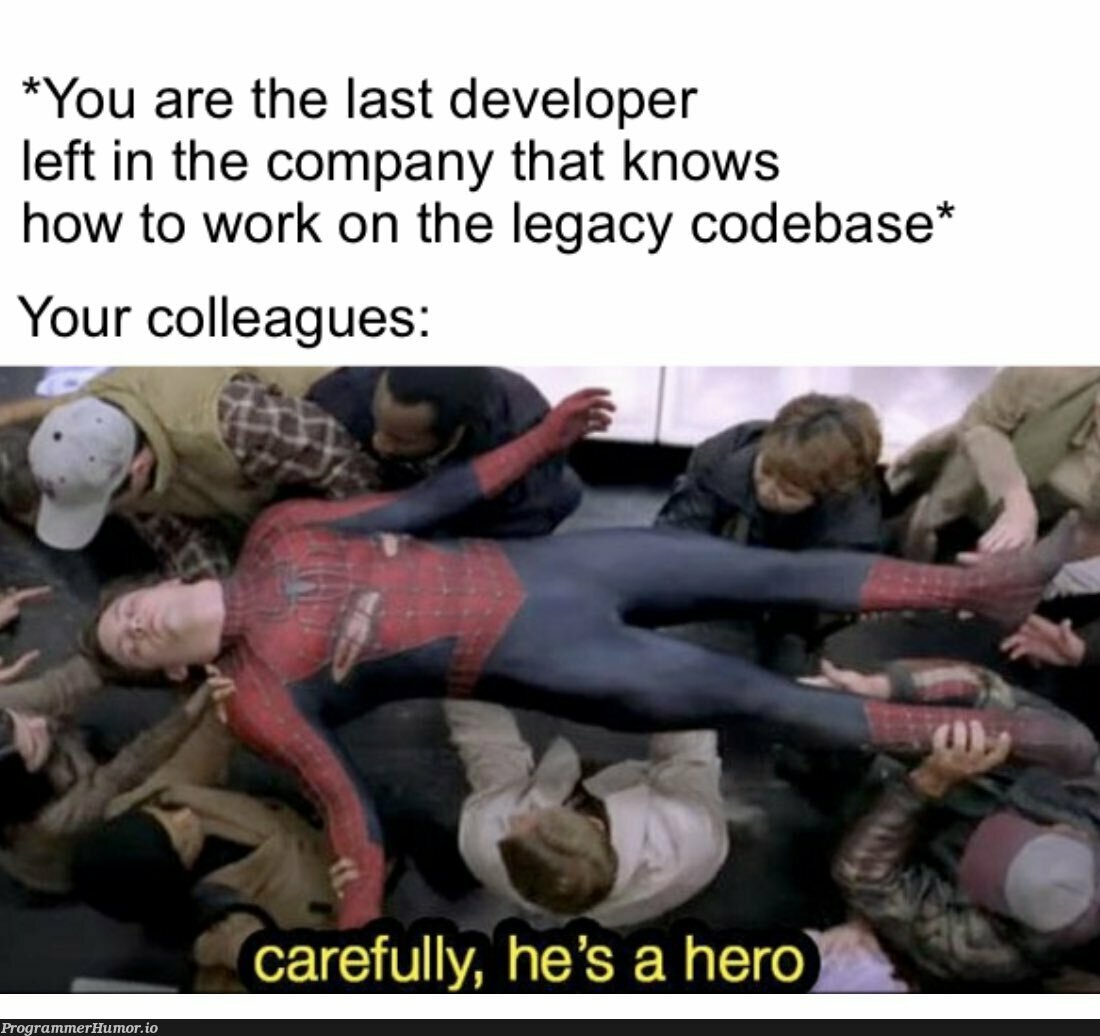 you are the last developer* | developer-memes, code-memes | ProgrammerHumor.io