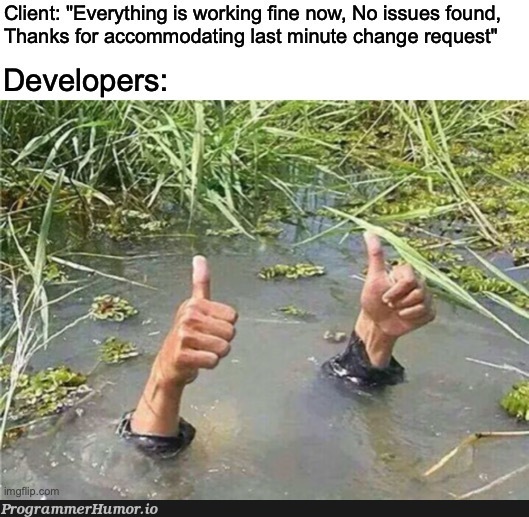 Happy to be at your service :/ | developer-memes | ProgrammerHumor.io