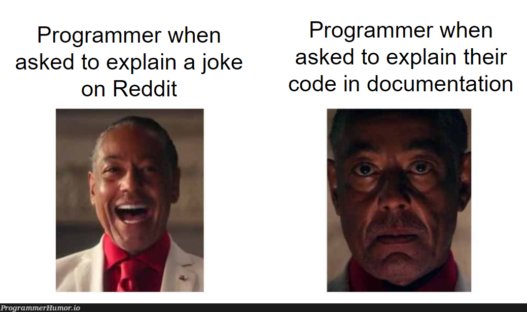 Explanations | programmer-memes, code-memes, program-memes, reddit-memes, documentation-memes | ProgrammerHumor.io