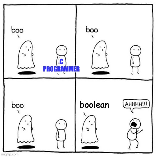 Booleans and C | ProgrammerHumor.io