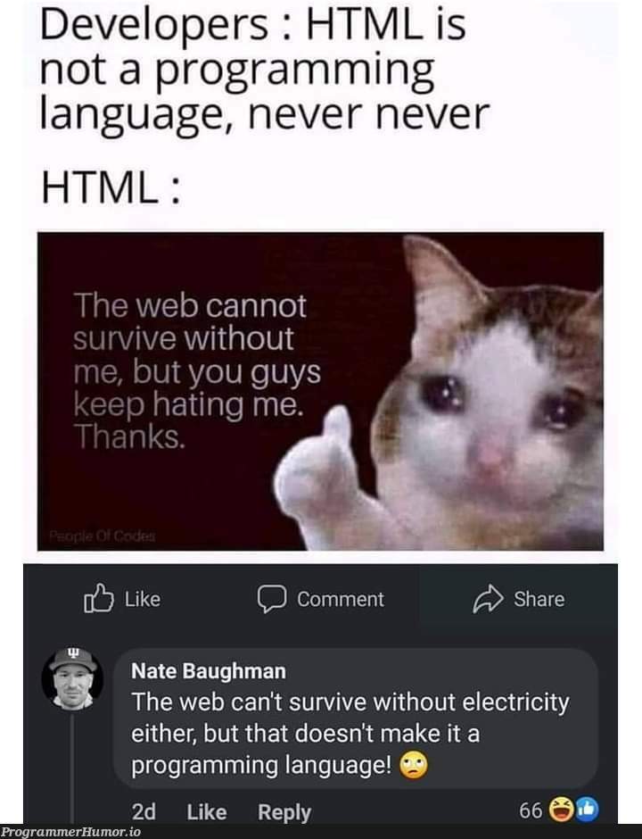 HTML is not a programming language | programming-memes, developer-memes, html-memes, web-memes, program-memes, IT-memes, ML-memes, language-memes, programming language-memes | ProgrammerHumor.io