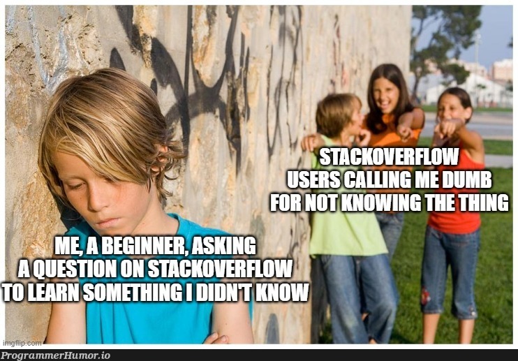 "lol you're so dumb" - A very constructive contribution by a member of the stackoverflow community | stackoverflow-memes, stack-memes, overflow-memes | ProgrammerHumor.io