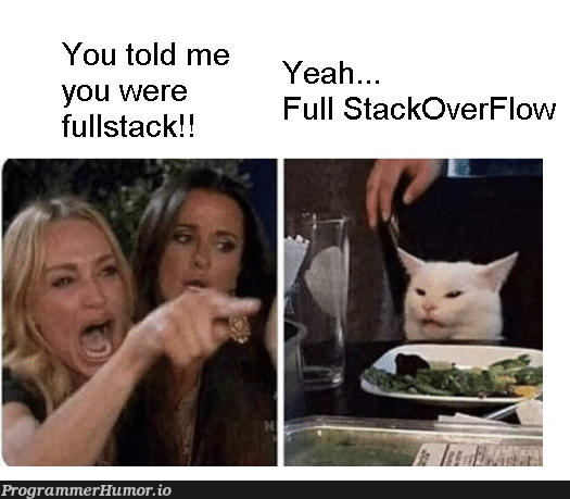 fullstack | stackoverflow-memes, stack-memes, overflow-memes, full stack-memes, fullstack-memes | ProgrammerHumor.io