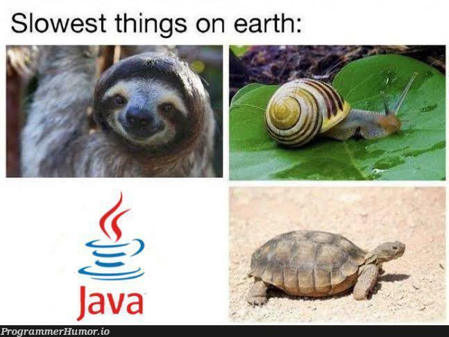 r/javabadpythongood | java-memes, python-memes | ProgrammerHumor.io