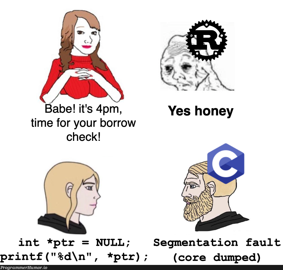 Hating memory safety since day -2147483648 | ProgrammerHumor.io