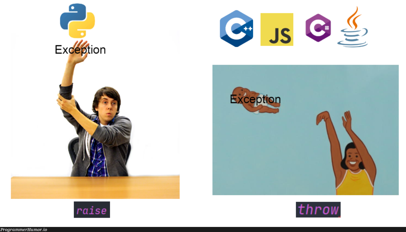 try catch throw finally | try catch-memes, try-memes, catch-memes | ProgrammerHumor.io