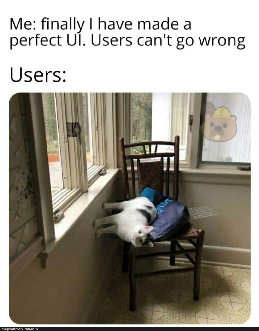 Nothing can go wrong | ProgrammerHumor.io