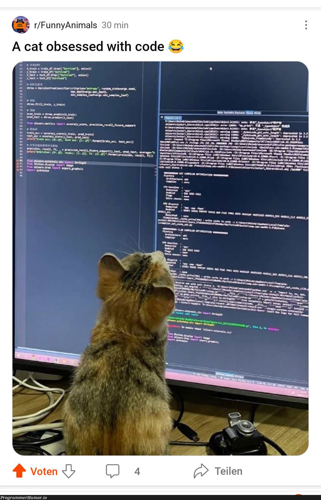 whatIsTheBestProgrammerAnimal | programmer-memes, code-memes, program-memes | ProgrammerHumor.io