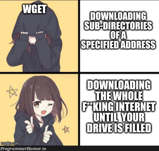 wget be like | ProgrammerHumor.io