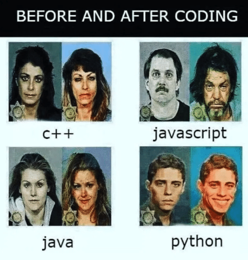 Putting smiles on our faces since 1991 | coding-memes | ProgrammerHumor.io