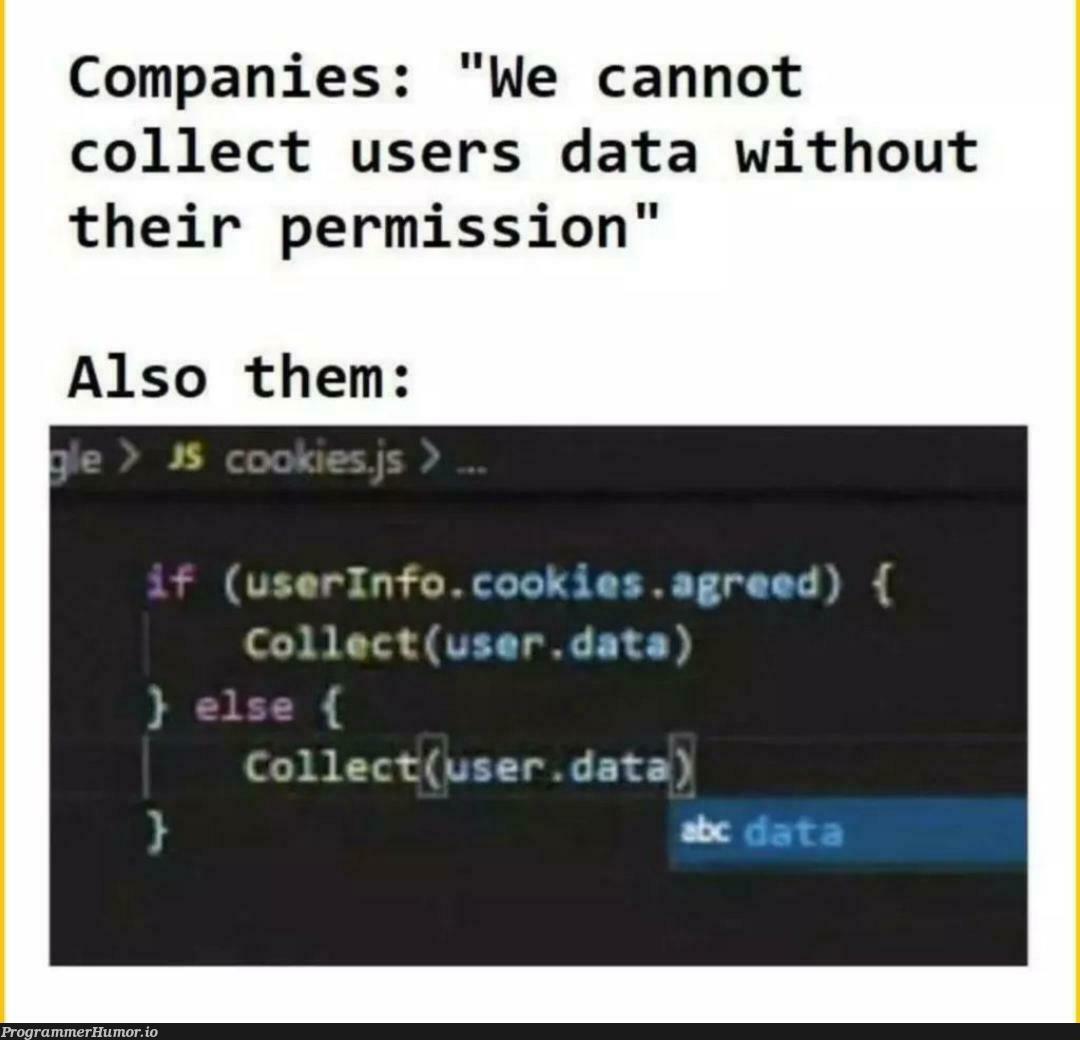 full privacy protection | data-memes, cookie-memes | ProgrammerHumor.io