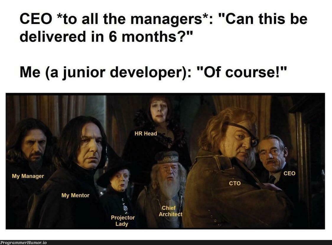 What did I do wrong? | developer-memes, manager-memes | ProgrammerHumor.io