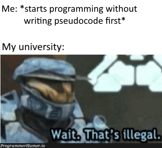 Who doesn't love pseudocode... | programming-memes, code-memes, program-memes, Pseudocode-memes | ProgrammerHumor.io