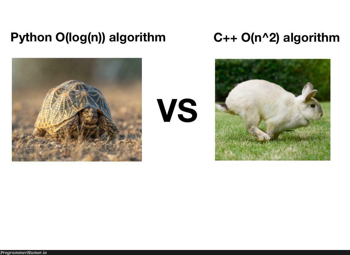 whichOneIsFaster | python-memes, c++-memes, algorithm-memes | ProgrammerHumor.io