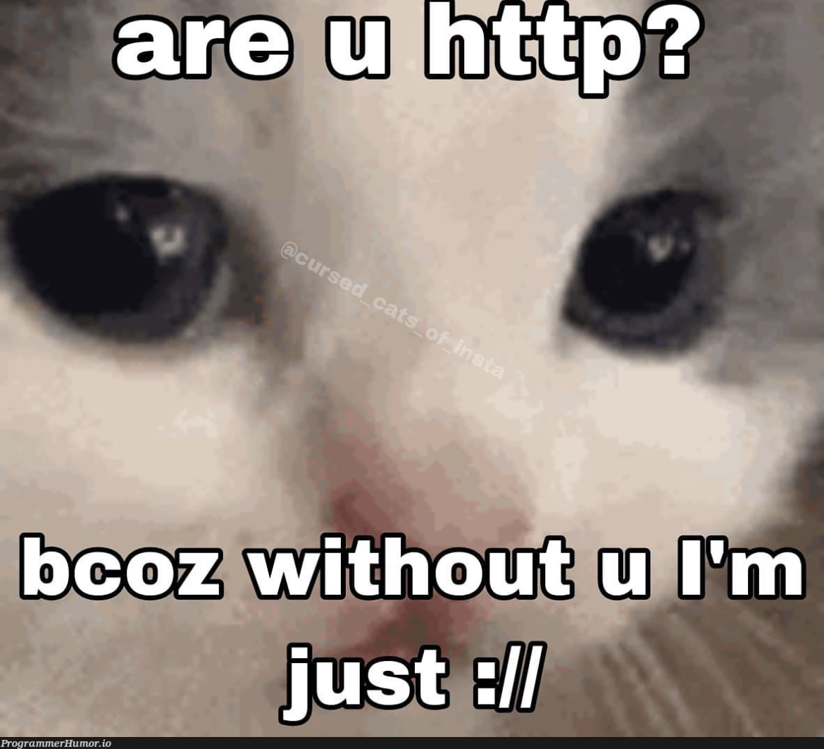 will you be my http? | http-memes | ProgrammerHumor.io