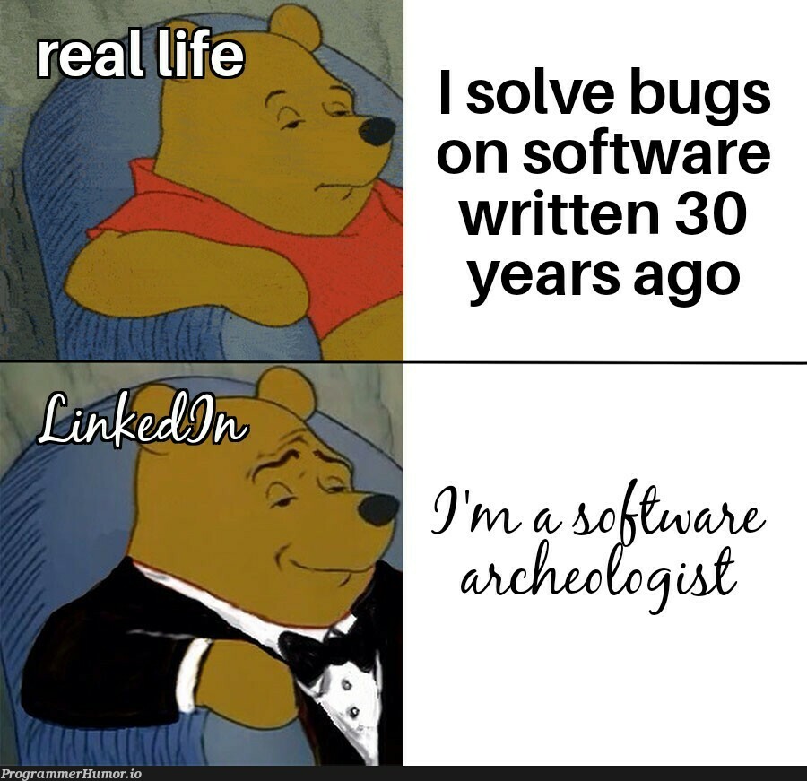 My résumé is cooler than yours | software-memes, bugs-memes, bug-memes | ProgrammerHumor.io