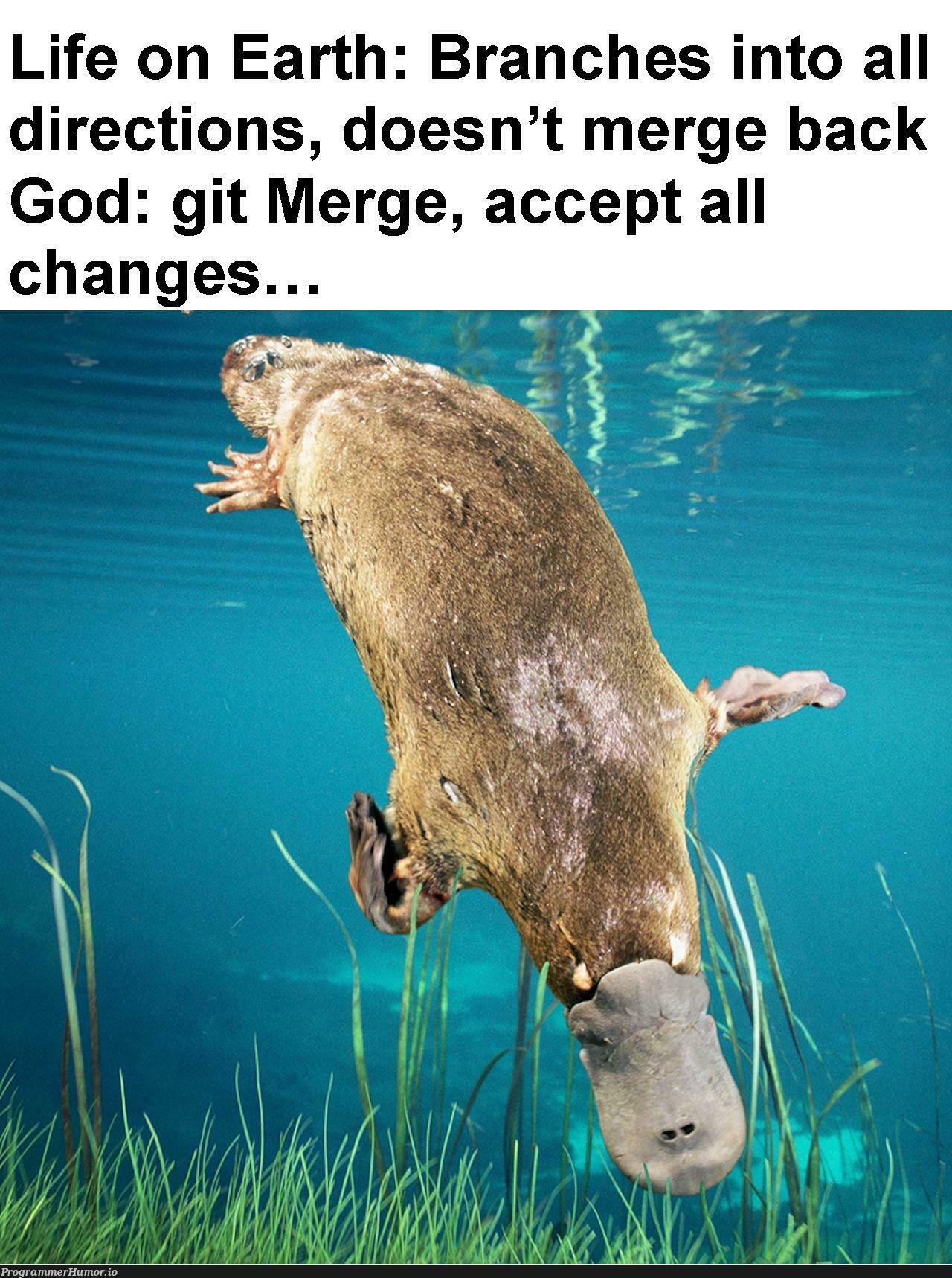 The answer biologists aren’t willing to accept | git-memes | ProgrammerHumor.io