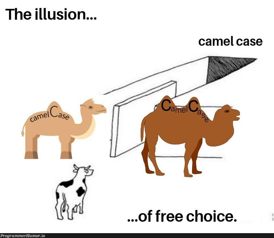 I was today years old when I learn that their is Upper and Lower Camel Case. | ProgrammerHumor.io