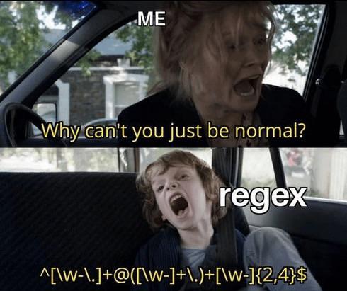 Regex is the neighbor’s kid | regex-memes | ProgrammerHumor.io