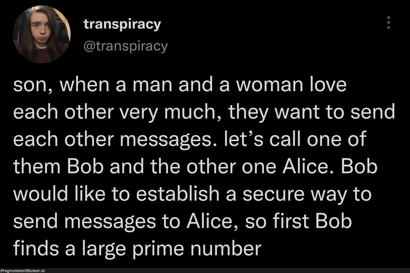 Alice and Bob | ProgrammerHumor.io