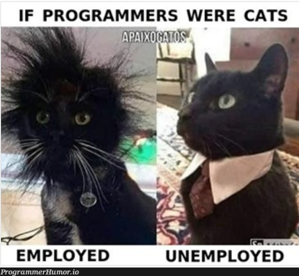 It doesn't mean that we don't care | programmer-memes, program-memes, IT-memes | ProgrammerHumor.io