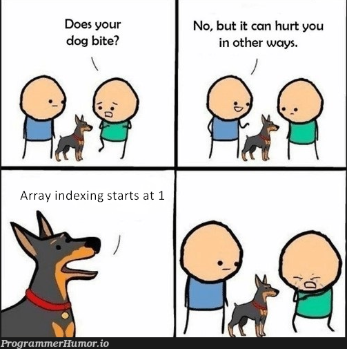 Array indexing continues | array-memes, IT-memes | ProgrammerHumor.io