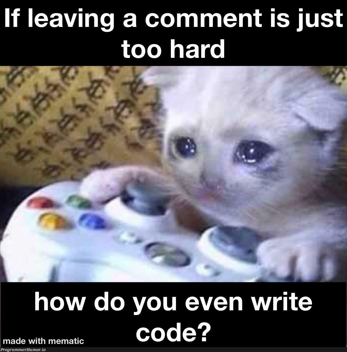 justGoogleIt | google-memes, comment-memes | ProgrammerHumor.io