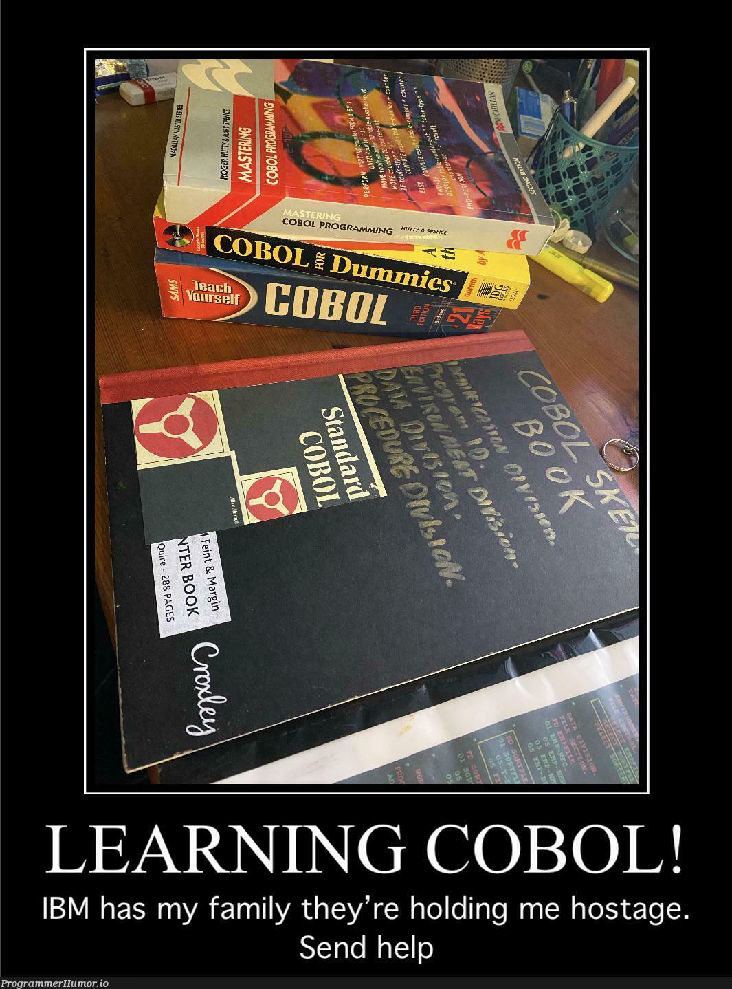 I’m enjoying learning COBOL in 2022 | programming-memes, program-memes, ibm-memes | ProgrammerHumor.io