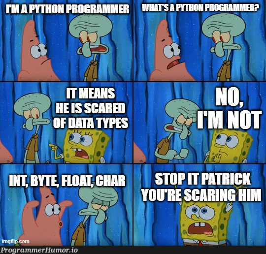 pythonProgrammer | programmer-memes, python-memes, program-memes | ProgrammerHumor.io