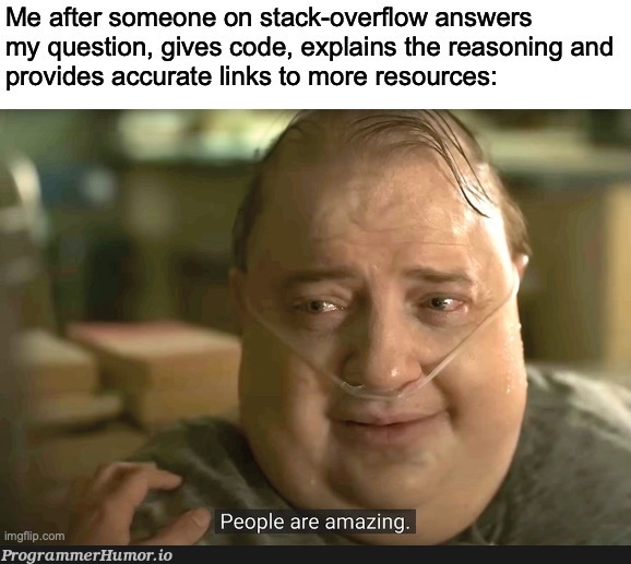 Only issue is that, it took too long for that answer to come | code-memes, stack-memes, overflow-memes, IT-memes, ide-memes | ProgrammerHumor.io