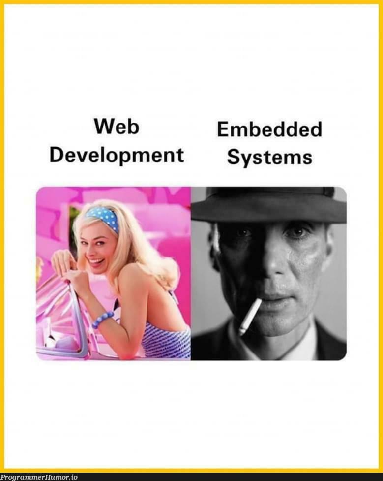 frontEndOrBackEnd | development-memes, web-memes, backend-memes, frontend-memes | ProgrammerHumor.io