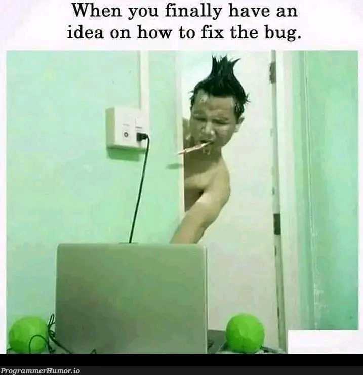 Always thinking about that bug you can't figure out ... | bug-memes, fix-memes, idea-memes, ide-memes | ProgrammerHumor.io